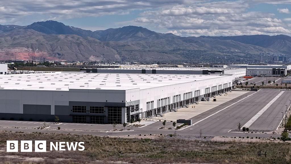 Widow, 86, back in France after being held by ICE