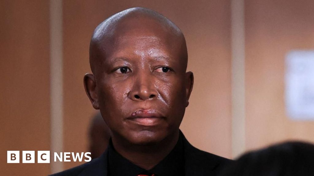 South African opposition figure Malema sentenced to five years in prison