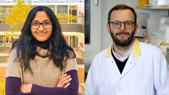 Immune Cells In Nose Slow Influenza Virus