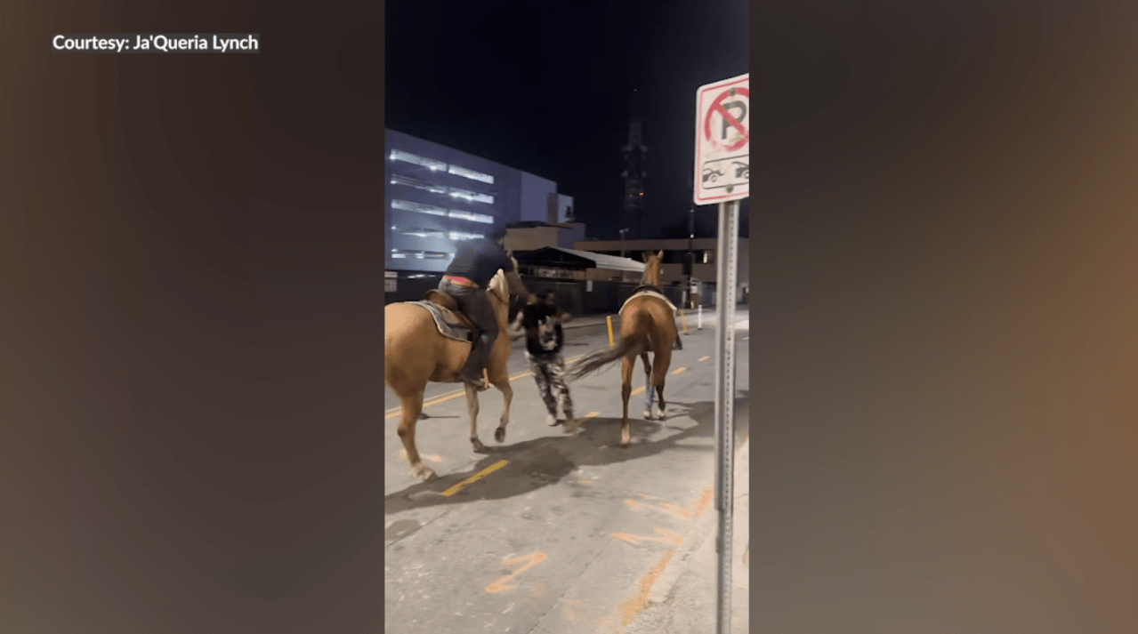 Viral video shows horse on the loose getting hit by a car in uptown Charlotte