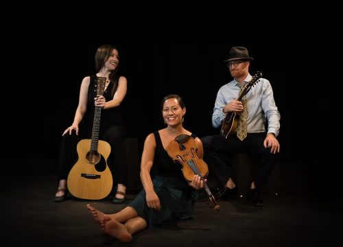 Virtuosic American Roots Band Low Lily Returns to Williamsburg Library Theatre