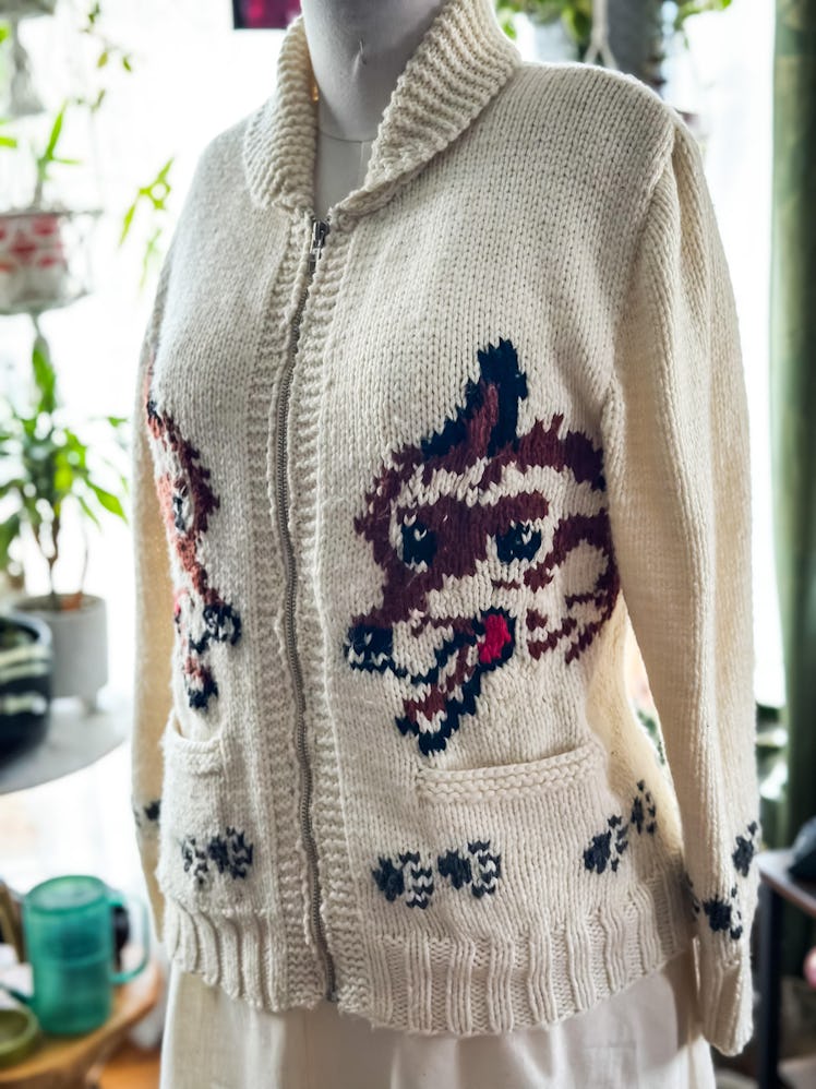 How To Make The Viral ‘Project Hail Mary’ Fox Sweater