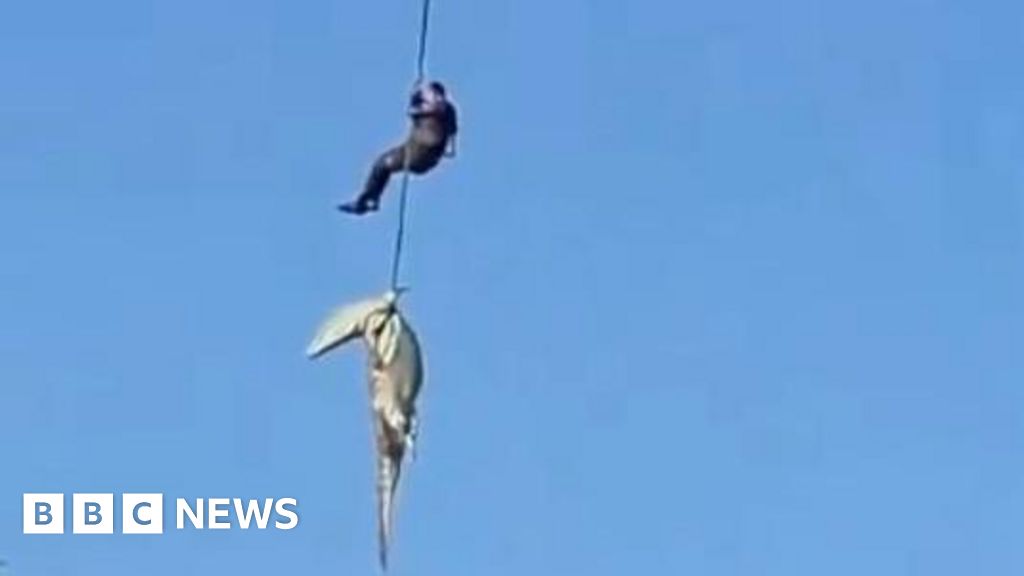 South African police officer lowered into crocodile-infested river to recover human remains