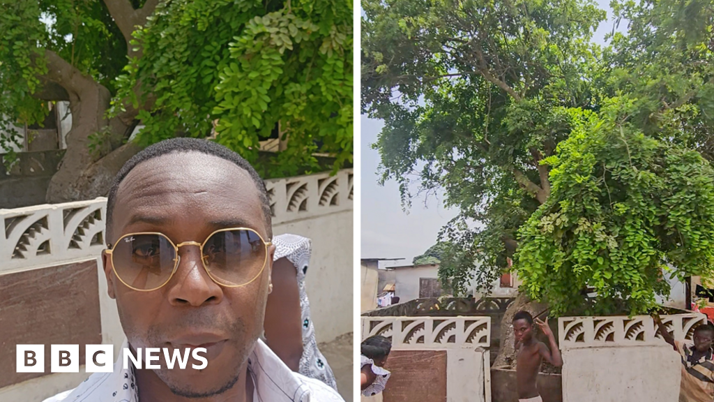 Ghanaian family traces its roots to a tree said to be planted in Apam in the 13th Century