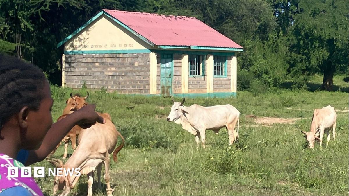Kenya’s vanishing rural schools – and why a new curriculum may be to blame