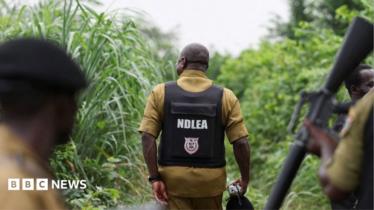 Nigeria drug trade: How Mexican cartels have outsourced meth labs