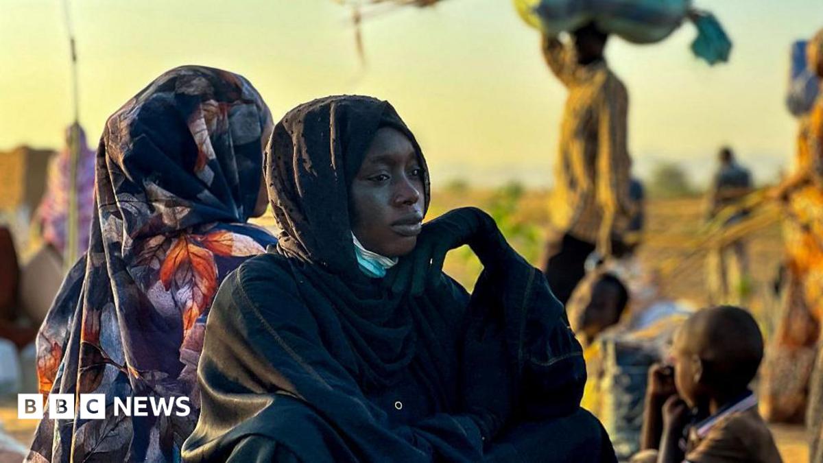 Sudan war: RSF committed crimes against humanity in el-Fasher, Amnesty says