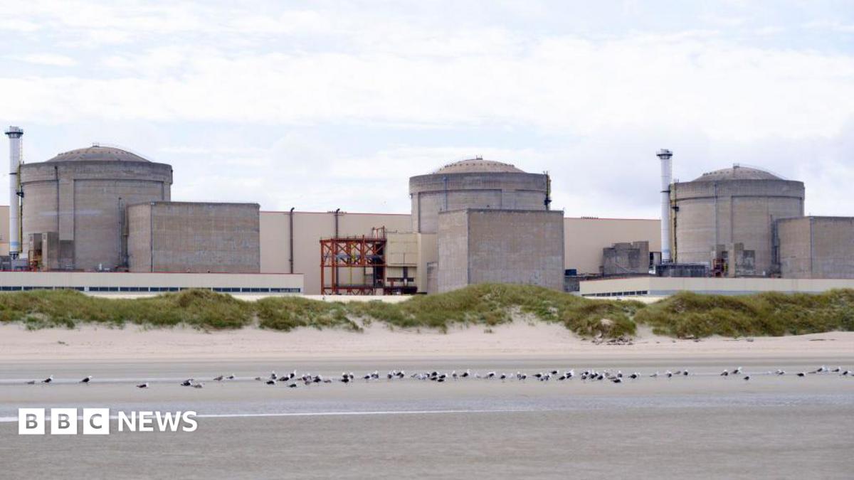 Jellyfish force partial shutdown of France’s Gravelines nuclear plant