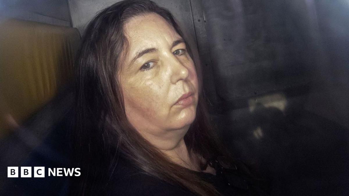Erin Patterson: The hotel booking snafu that could free mushroom murderer