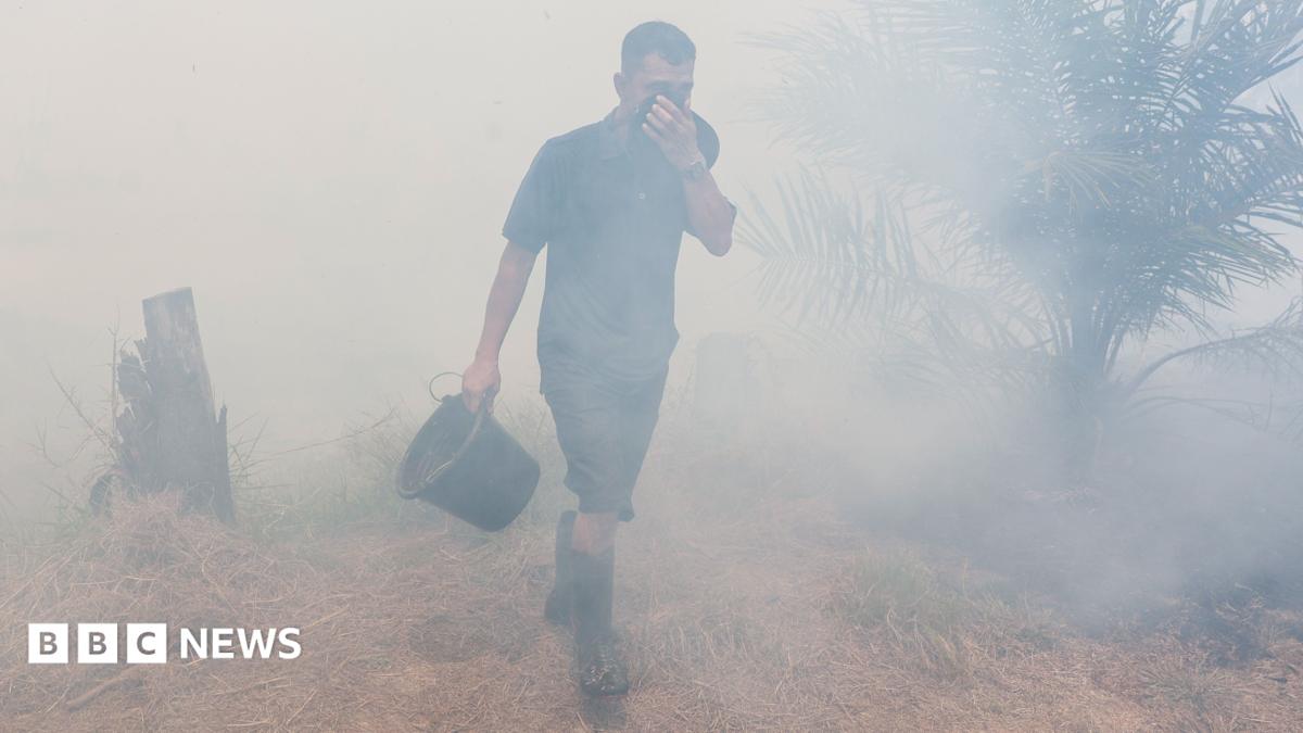 How toxic smog from wildfires is making Indonesians sick