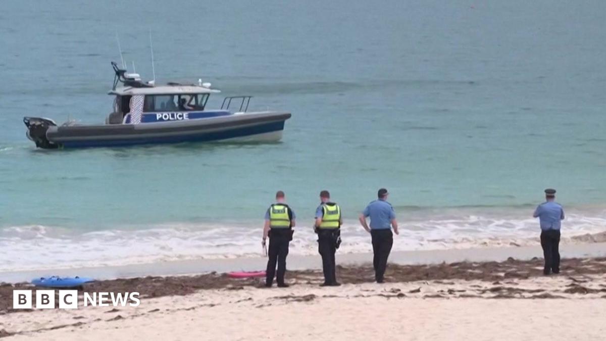 Perth shark attack: Beaches shut as deadly attack prompts rare kill order