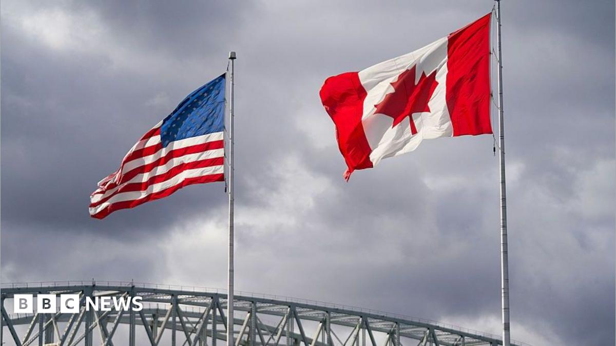 Watch: How much can Canada fight back in its trade war with the US?
