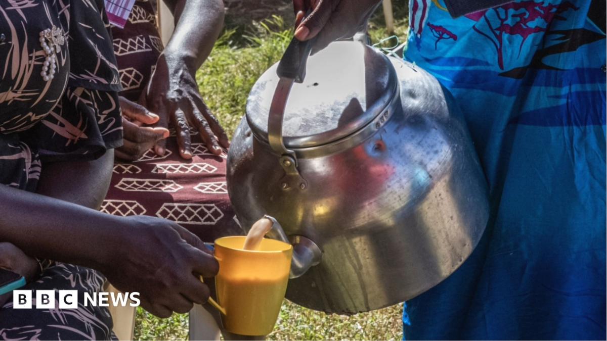 Kenya’s milk shortage: Chai lovers unhappy as cows run dry