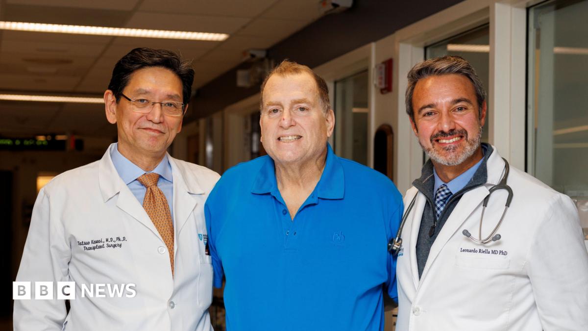 Pig kidney works in human body for 271 days – is this the future of organ transplants?