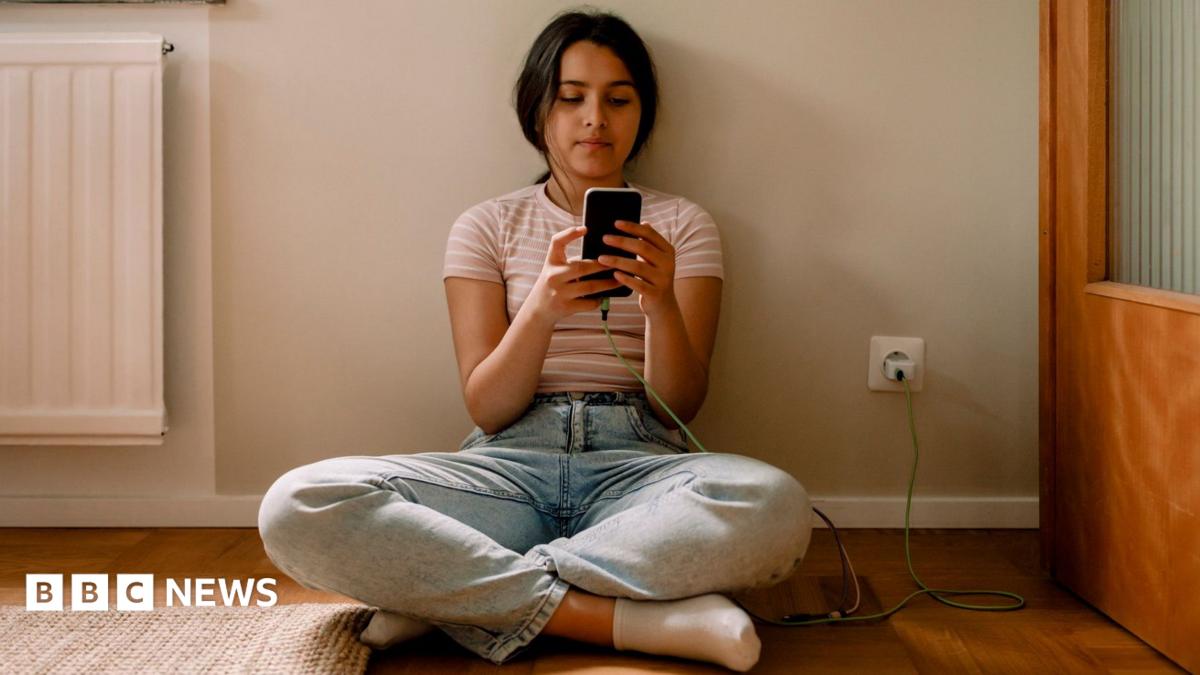 EU announces plan to restrict social media access for children