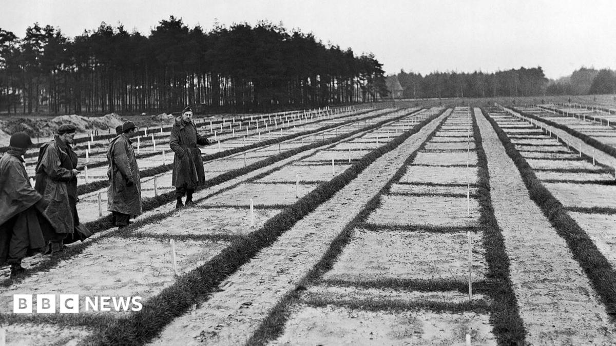105-year-old investigated over murders at Nazi PoW camp in Germany