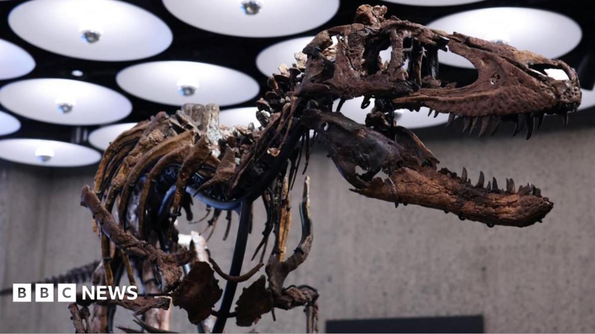 Dinosaur skeleton goes to auction in New York with £4.5m price tag