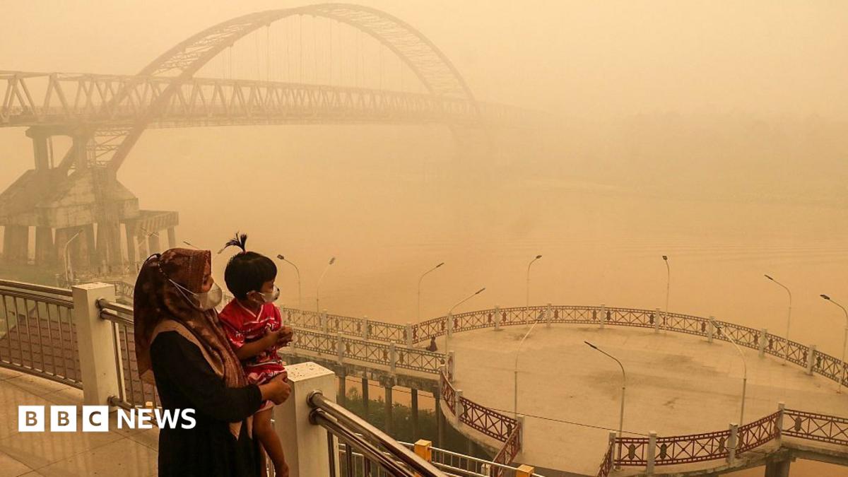 South East Asia haze: What’s choking Singapore, Malaysia and Indonesia?