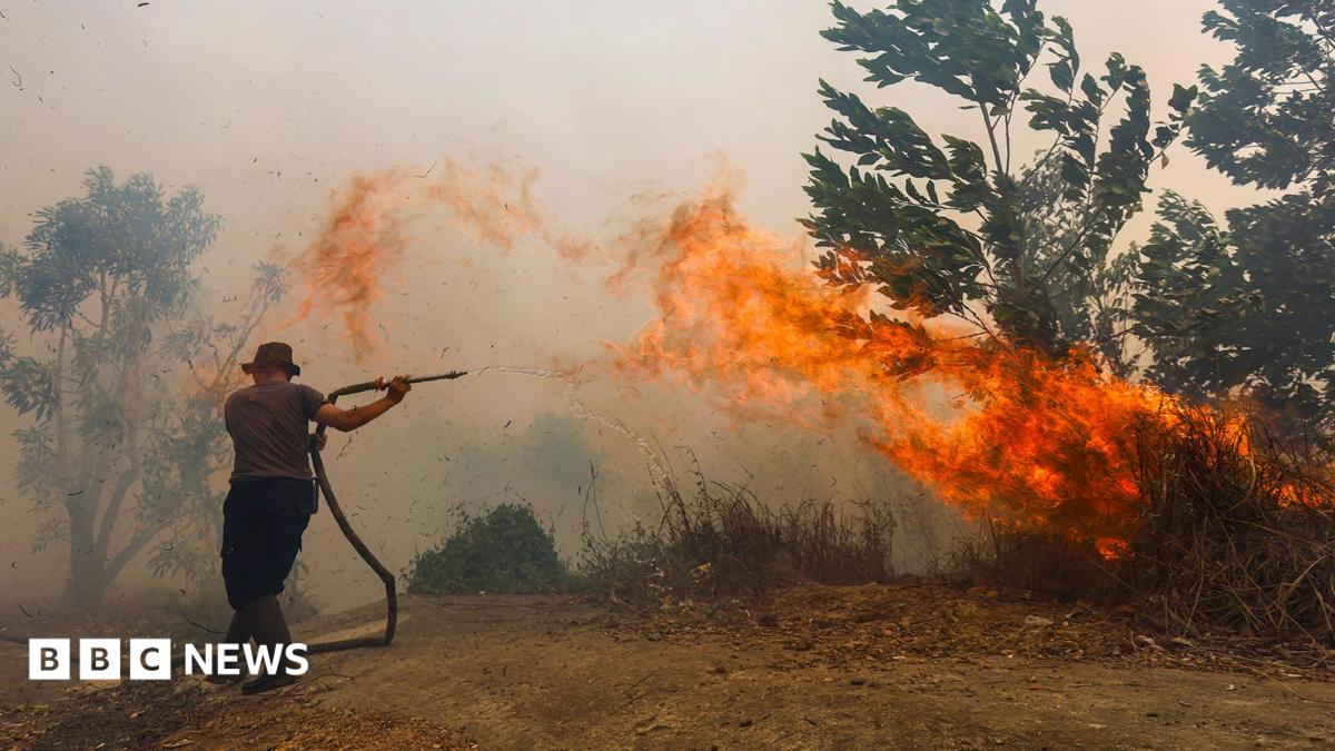 Borneo is burning – living on the frontline of Asia’s toxic haze