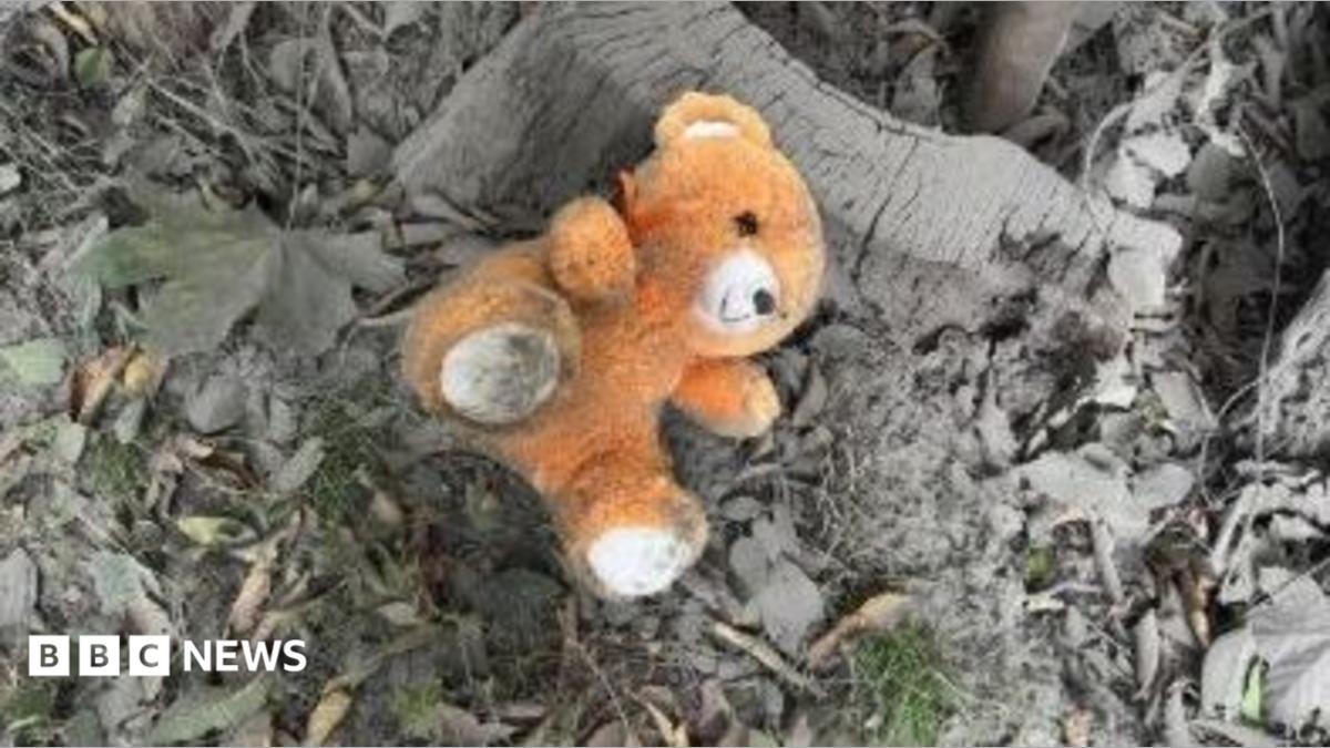 Ukraine war: Russian glide bomb attack on Zaporizhzhia kills at least 20 people