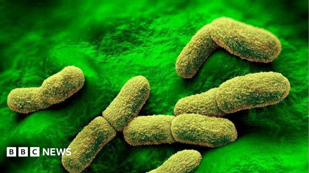 US ‘watching closely’ after plague researcher dies in Russia, Rubio says