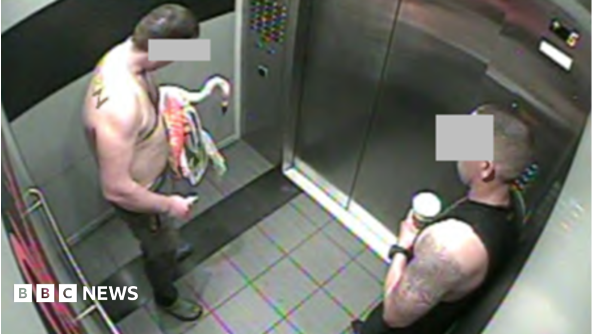 Canadian tourist guilty of animal cruelty after stealing Las Vegas flamingo