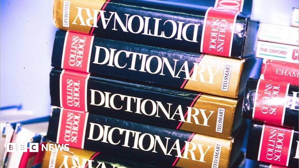 Maxxing selected as Dictionary.com word of the year