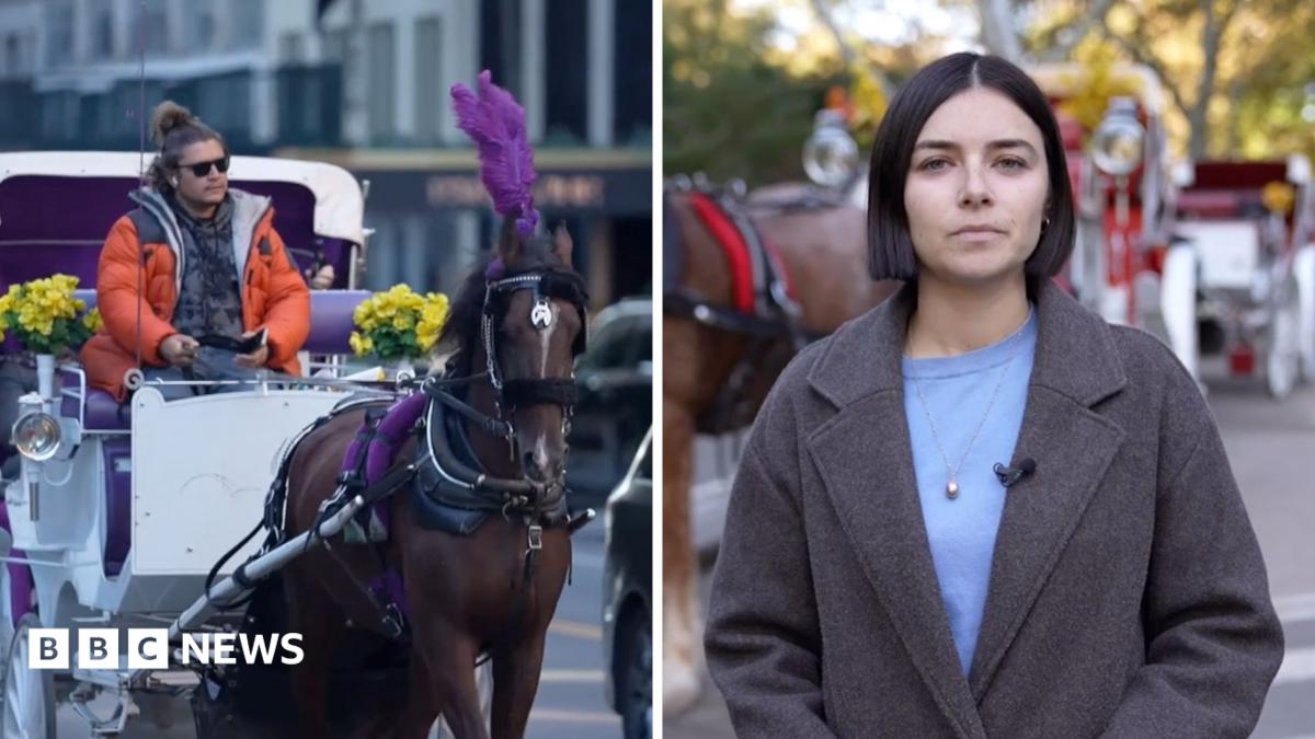 Watch: New York bans horse-drawn carriages after more than 160 years