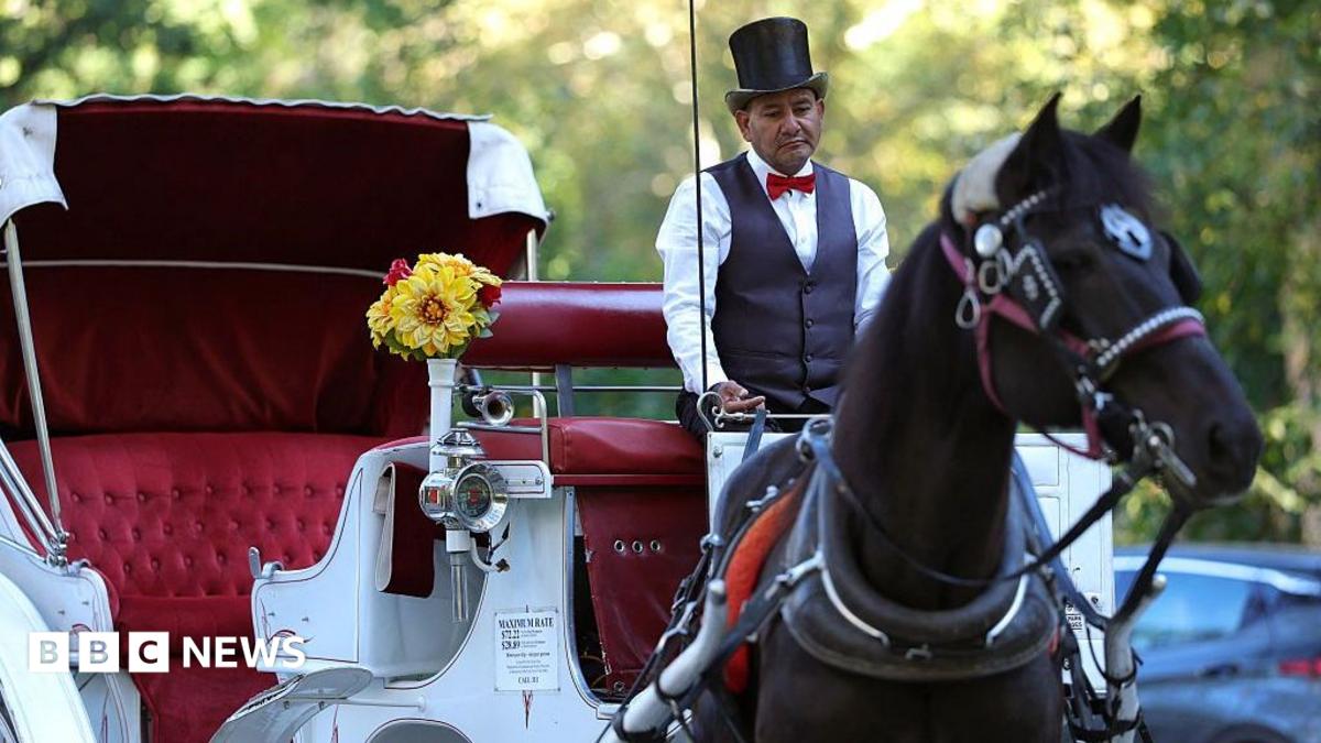 New York City reconsiders a classic attraction: are horse-drawn carriages abuse?