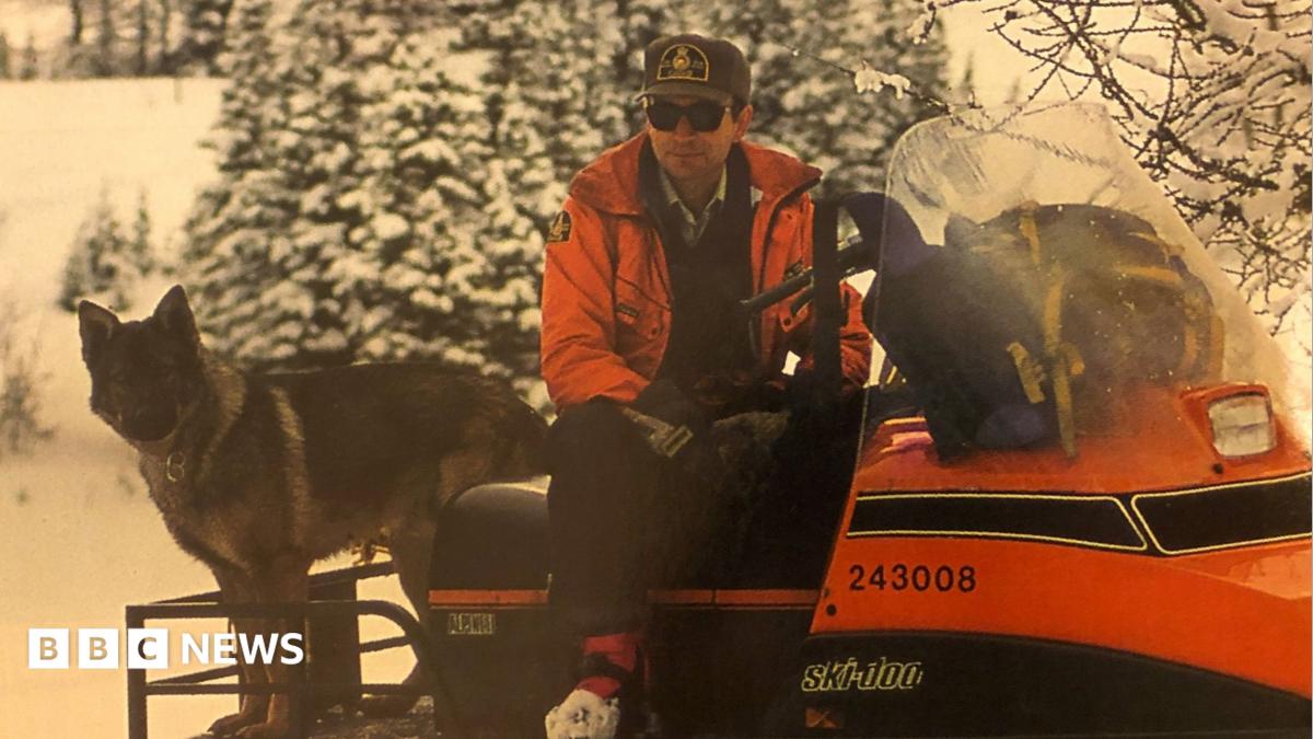 Canada stops using ‘avalanche dogs’ for rescues in Rocky Mountains, stirring outrage