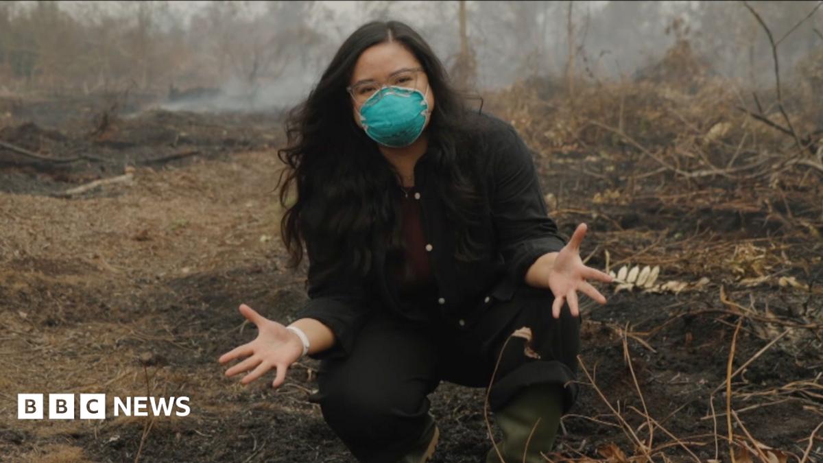 Why is a peat fire so bad? BBC is in Indonesia to find out