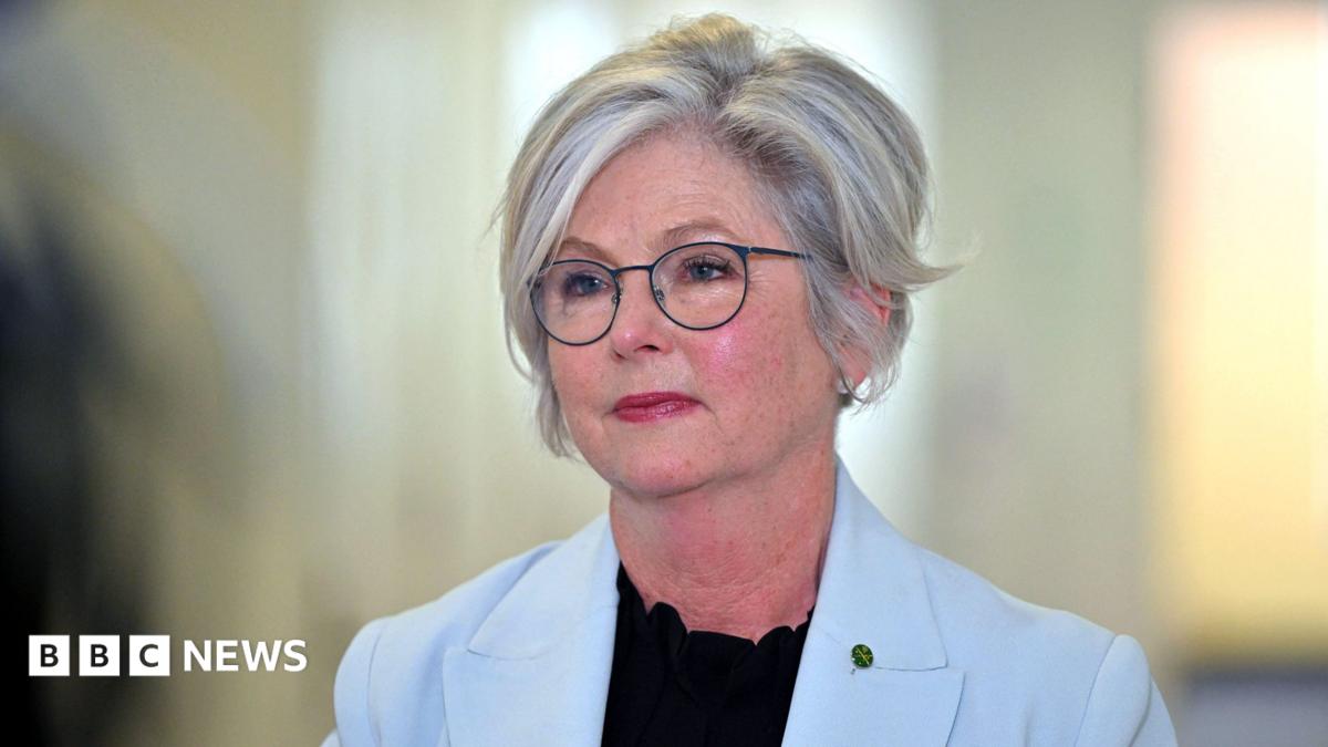 Australian MP critically injured after being hit by car in apparent attack