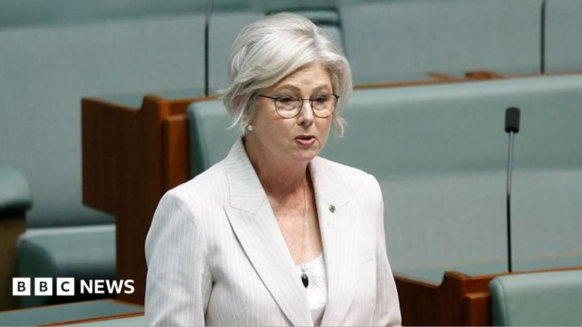 Australian MP Helen Haines’ condition improves after alleged car attack